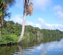 Amazon Rainforest Lodge Peru