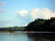 On the Tambopata River