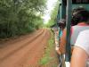 Ecological Train at Iguazu Falls, Argentina